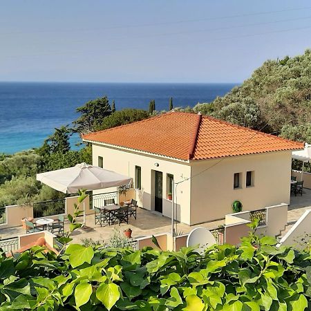Marina Apartments Kokkari Bagian luar foto