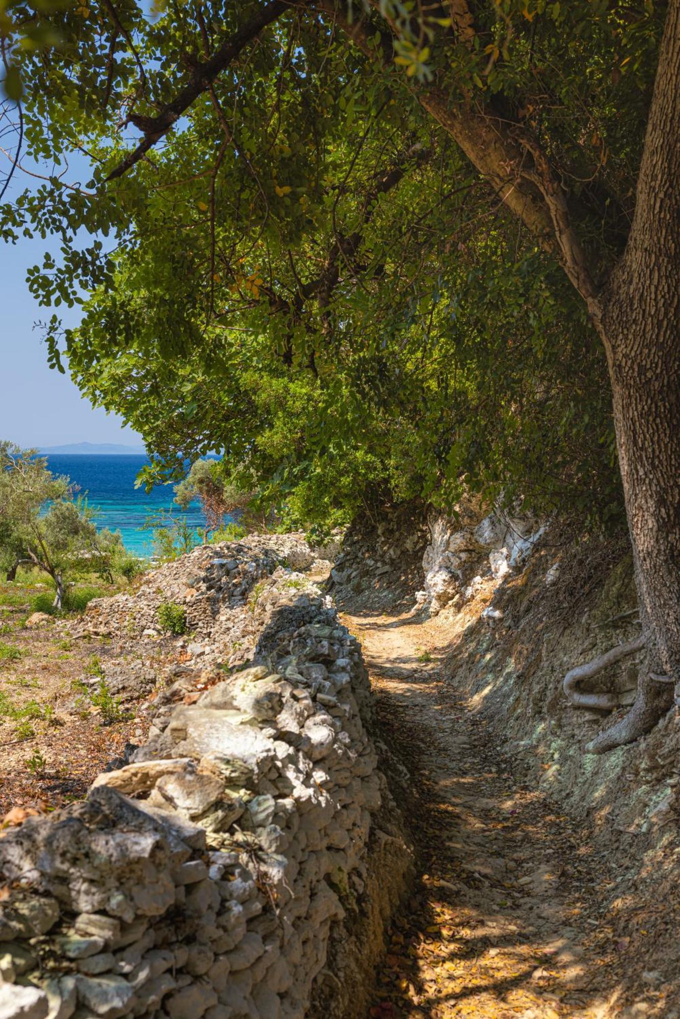 Marina Apartments Kokkari Bagian luar foto