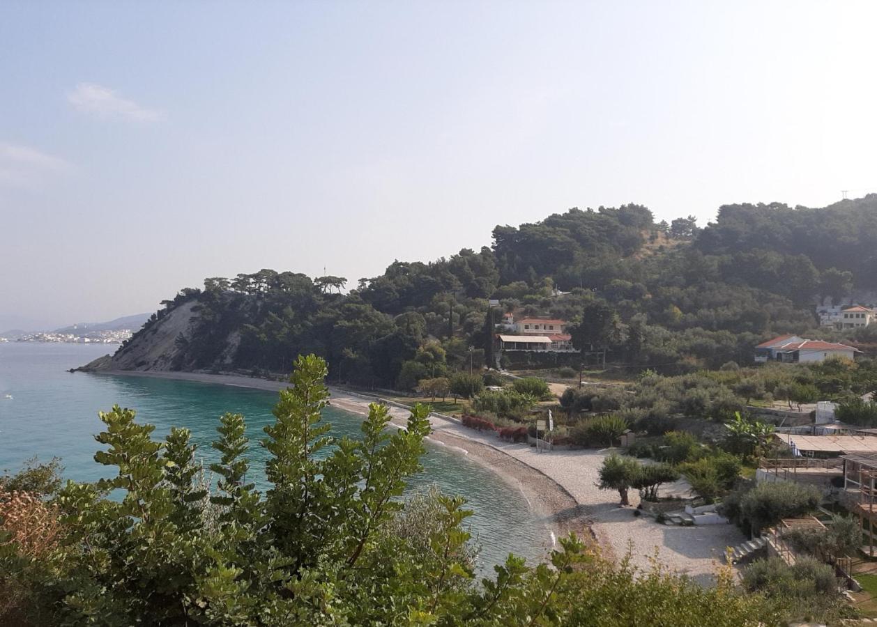 Marina Apartments Kokkari Bagian luar foto